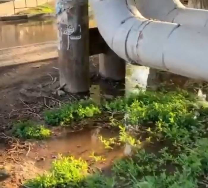 Астраханцы бьют тревогу из-за коммунального болота, которое может разрушить дом