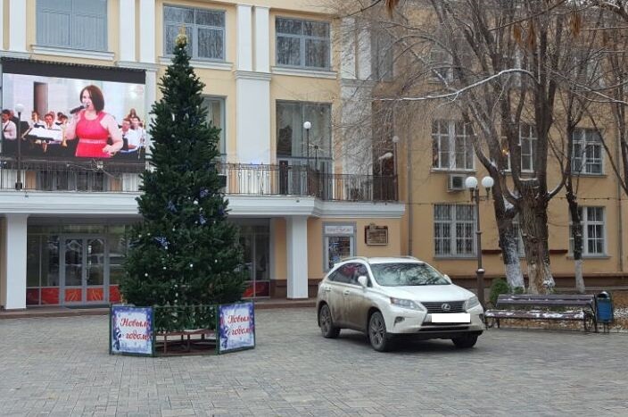 Фото дня: первые подарочки под астраханской елкой
