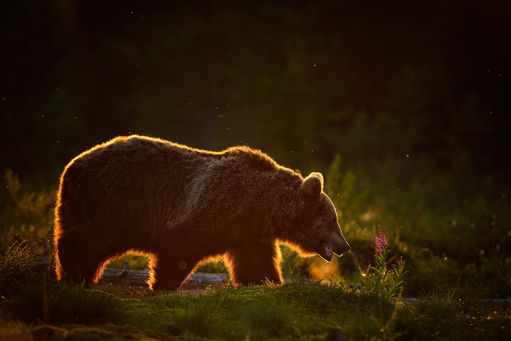 Депутаты Государственной Думы РФ от «Единой России» подготовили предложения по формированию бюджета на 2016 год