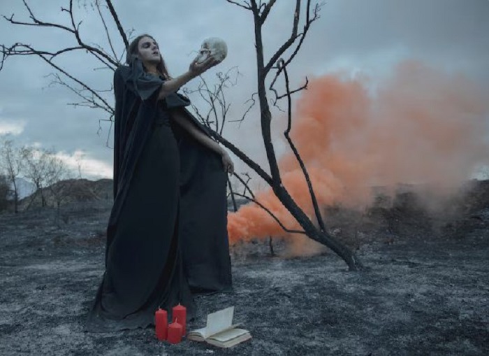 Спрос на осиновые колья от вампиров в России вырос в четыре раза