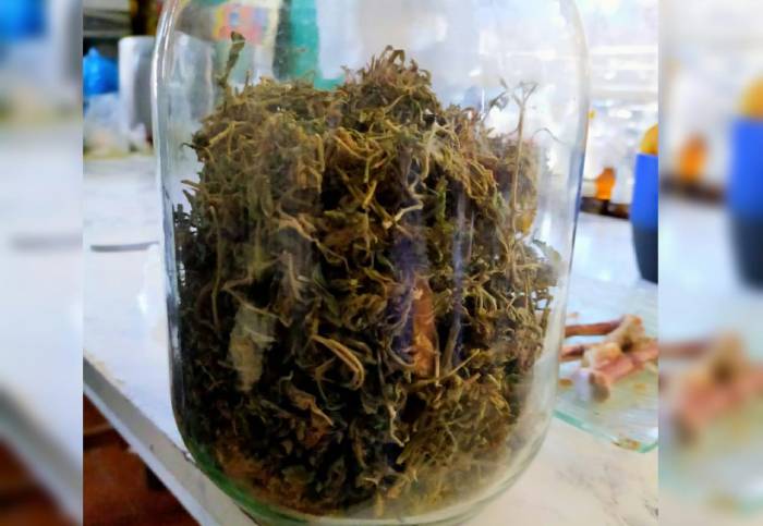 Астраханец собрался ловить рыбу на коноплю