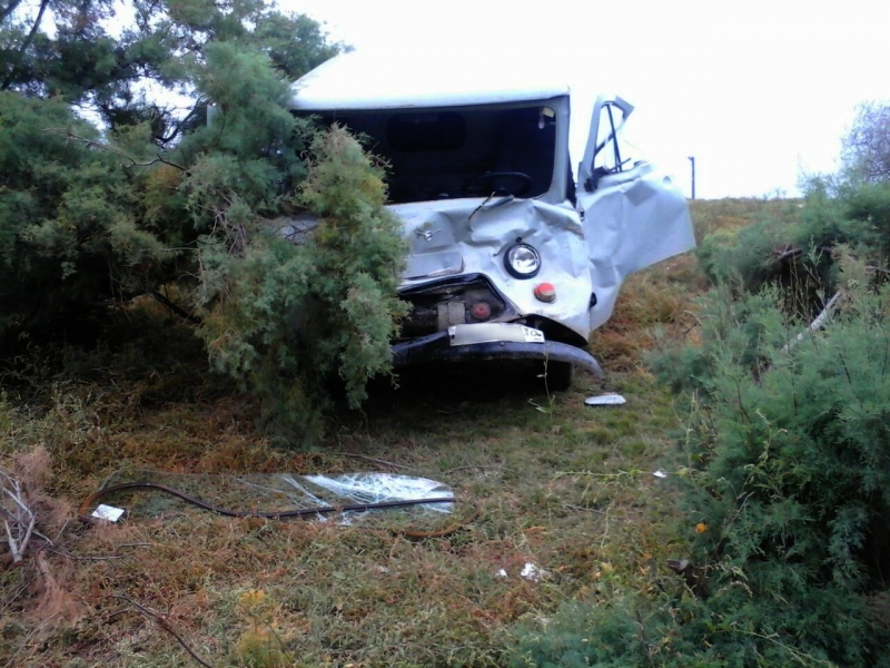 Под Астраханью "УАЗ" сбил корову: водитель госпитализирован