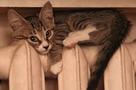 Отопление в Астрахани появится в среду