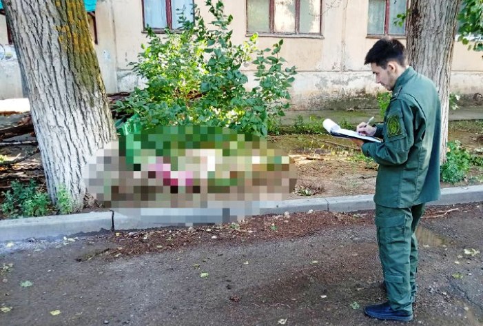 В Астраханской области ждет суд директора УК,  из-за чьей бездеятельности дерево убило пенсионерку