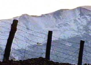 Под Астрахань задержаны узбеки-нелегалы