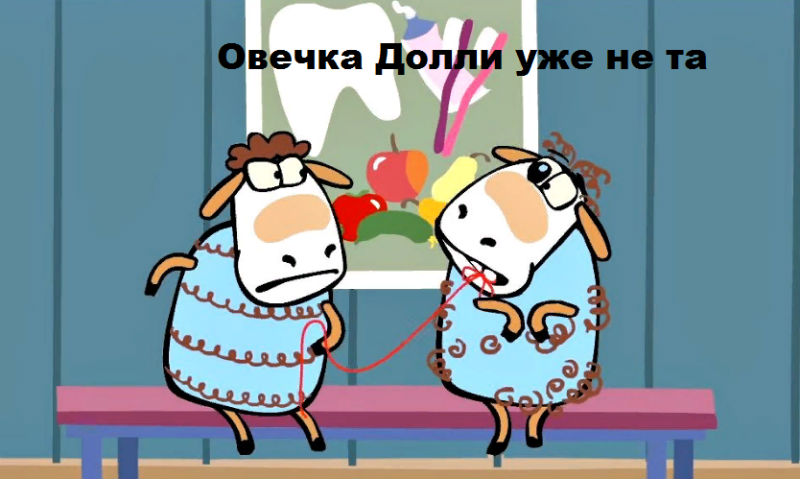 Кандидаты в губернаторы Астраханской области претендуют еще и на губернаторское кресло Мурманского региона