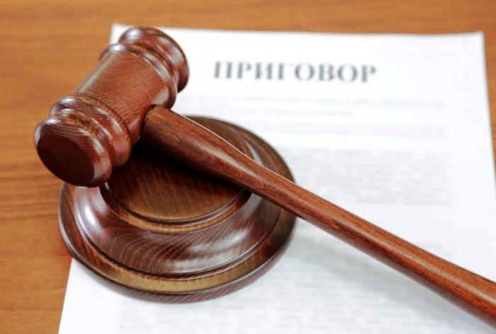 Астраханца, призывавшего в интернете сжечь Путина, приговорили к штрафу