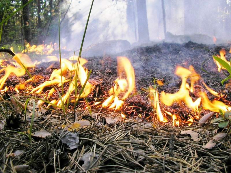 Лето начнется в Астрахани с высокой пожароопасности