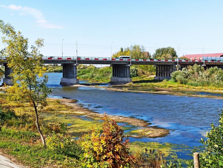 Царев продолжает стремительно мелеть: летом ходили по пояс, теперь по колено
