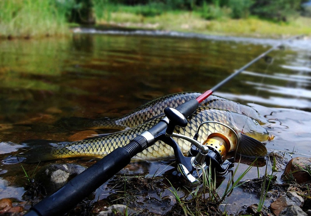 Рыбалка обернулась для астраханца жуткой неприятностью
