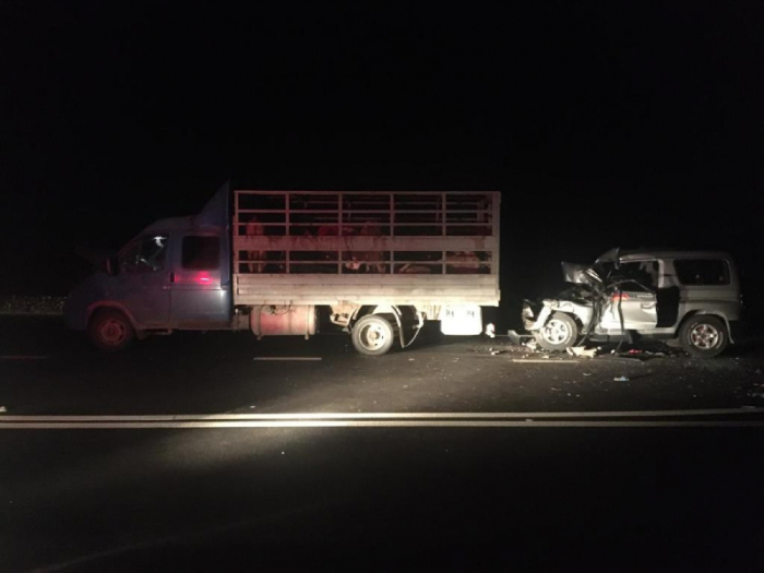 Под Астраханью иномарка влетела в припаркованный грузовик: пострадавший в больнице