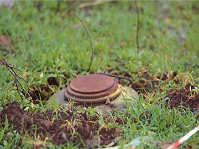 В Астраханской области обнаружено более полутора тысяч боеприпасов 