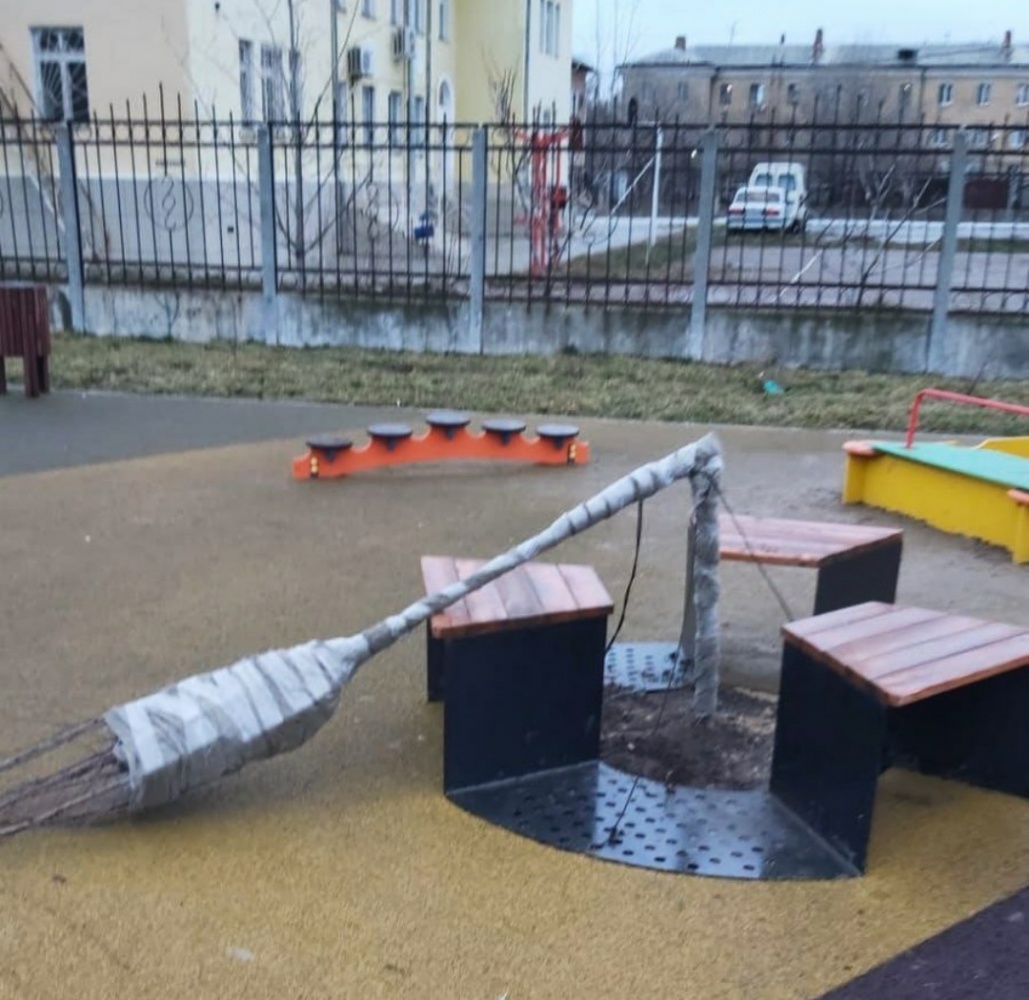 Мария Пермякова эмоционально обратилась к астраханцам в связи с вандализмом в парке "Дружба"