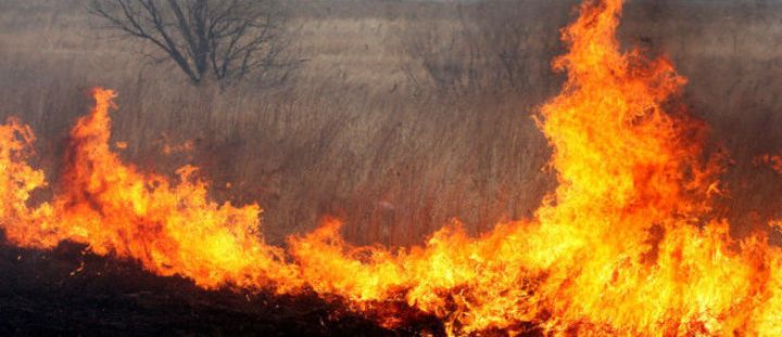 В Астрахани за сутки выгорело почти 300 "квадратов" камыша и мусора