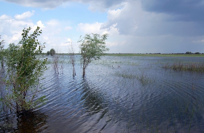 В Астраханской области введён режим повышенной готовности из-за паводка, но вода приходит пока медленно