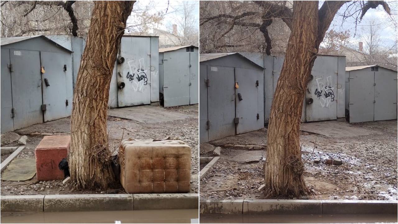 Астраханка оборудовала для покусавшей ребенка уличной собаки лежанку и кормушку