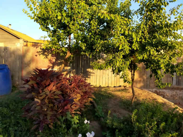 Марихуана на зиму: астраханка хранила наркотик в трехлитровой банке в холодильнике