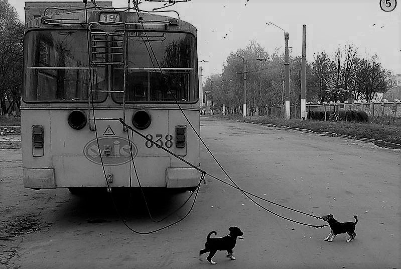 Троллейбусная загогулина