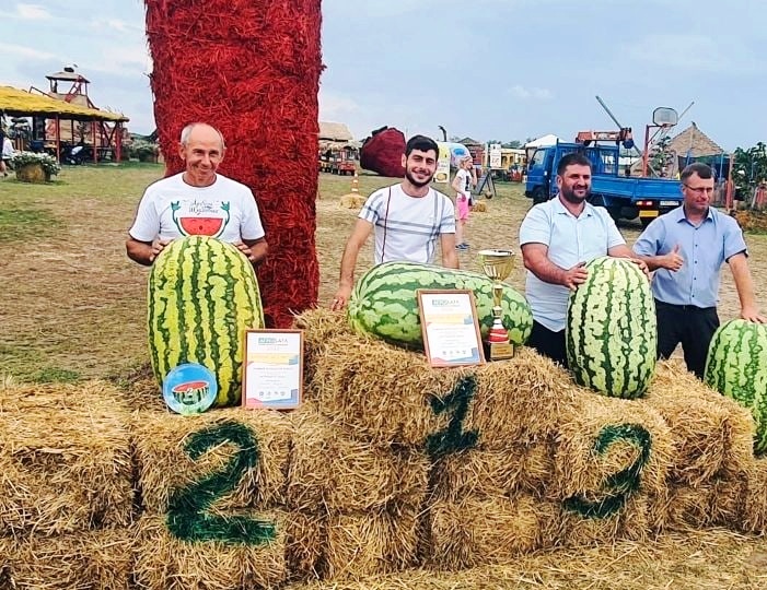 Астраханец вырастил самый крупный арбуз в России