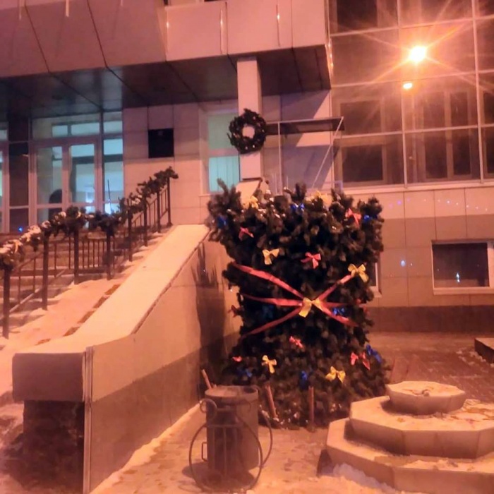 У администрации Ленинского района Астрахани установили огрызок ёлки