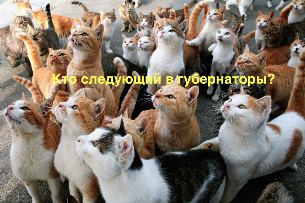 На выборы губернатора Астраханской области заявился 13-й кандидат