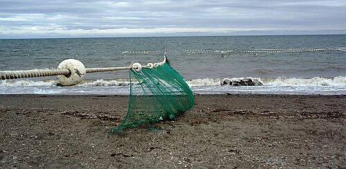 В Астраханской области задержали браконьера из Волгограда