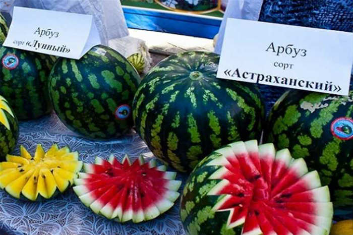 В Астрахани может появиться новый арт-объект – арбуз