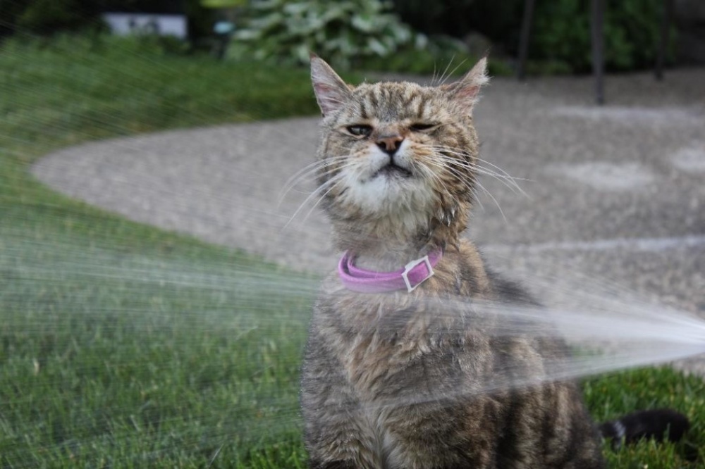 Завтра астраханцам умирать от жары не придётся