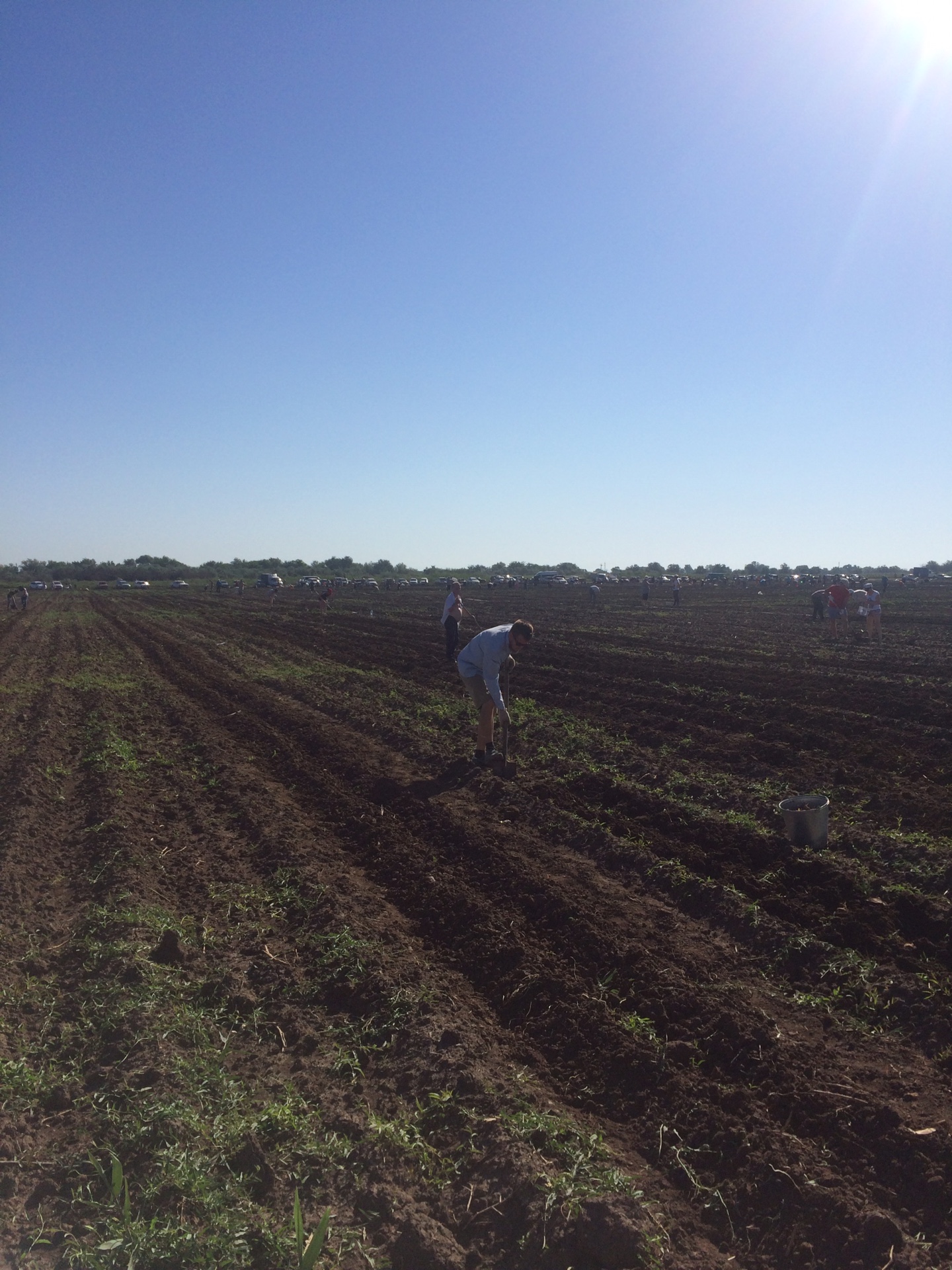 Астраханцам снова дали возможность накормить себя самих