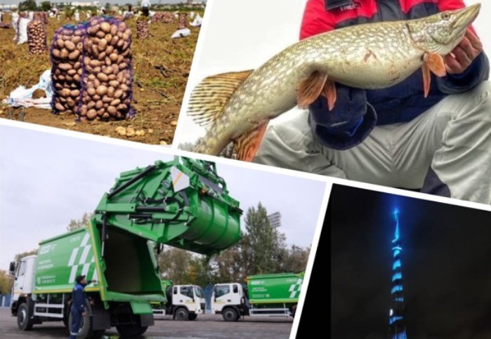 Астрахань. Итоги октября-2025. Квадратные метры и щучья икра соревнуются в дороговизне