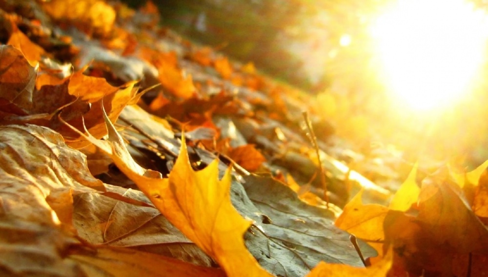 Пятница порадует астраханцев погодой 