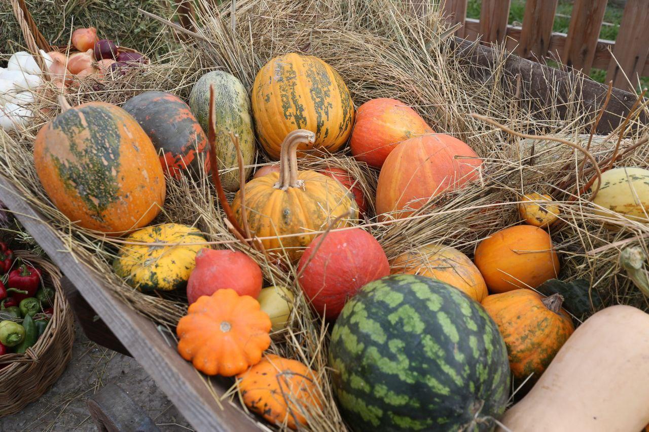 Астраханские фермеры представят продукцию на субботней сельхозярмарке