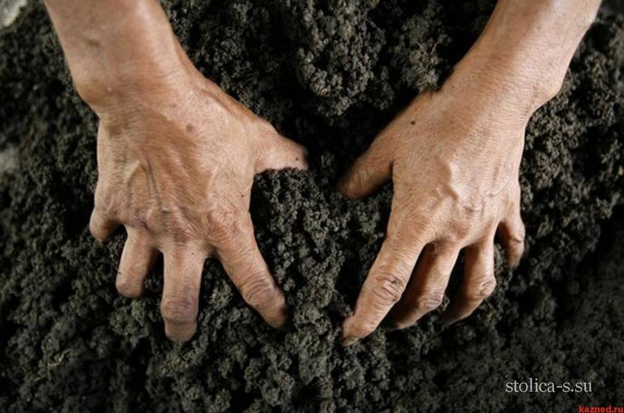 Астраханец "забрал" 15 муниципальных земельных участков