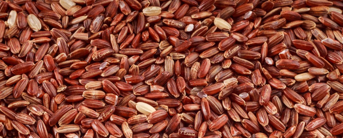 Пограничники не пропустили красный рис через астраханскую границу