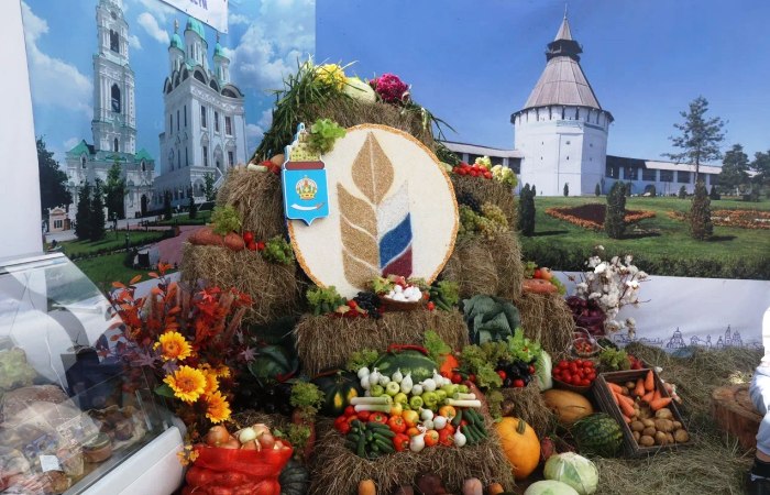 Мыло из рыбы, гигантские овощи и титул лучшего стригаля: в Астраханской области проходит третий Агрофестиваль 