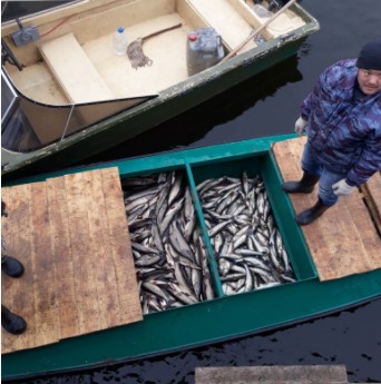 Двоих астраханцев задержали с полутора тоннами рыбы