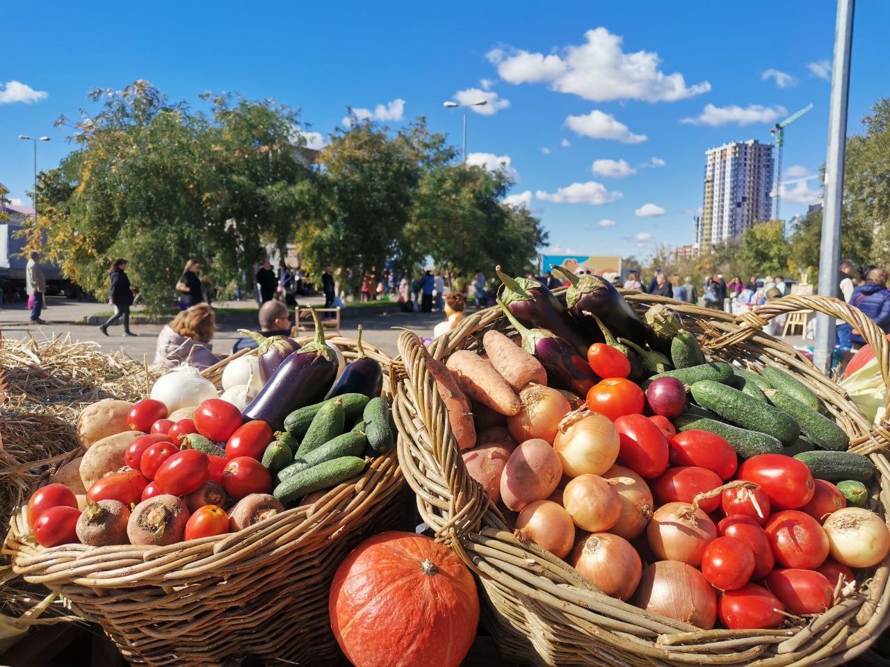 Астраханцы смогут закупиться продуктами по низким ценам