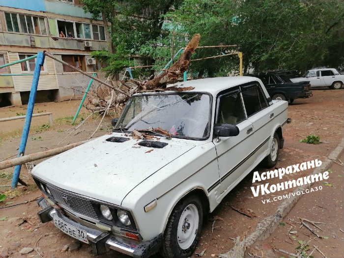 В Астрахани дерево упало на автомобиль