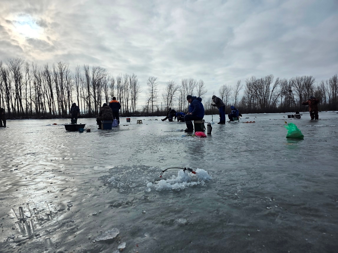 Что ловят астраханские рыбаки на зимней рыбалке?