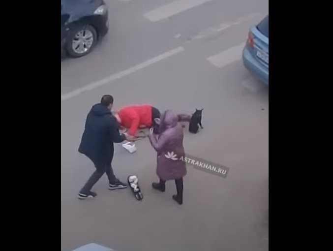 В Астрахани сбили даму с собачкой: видео