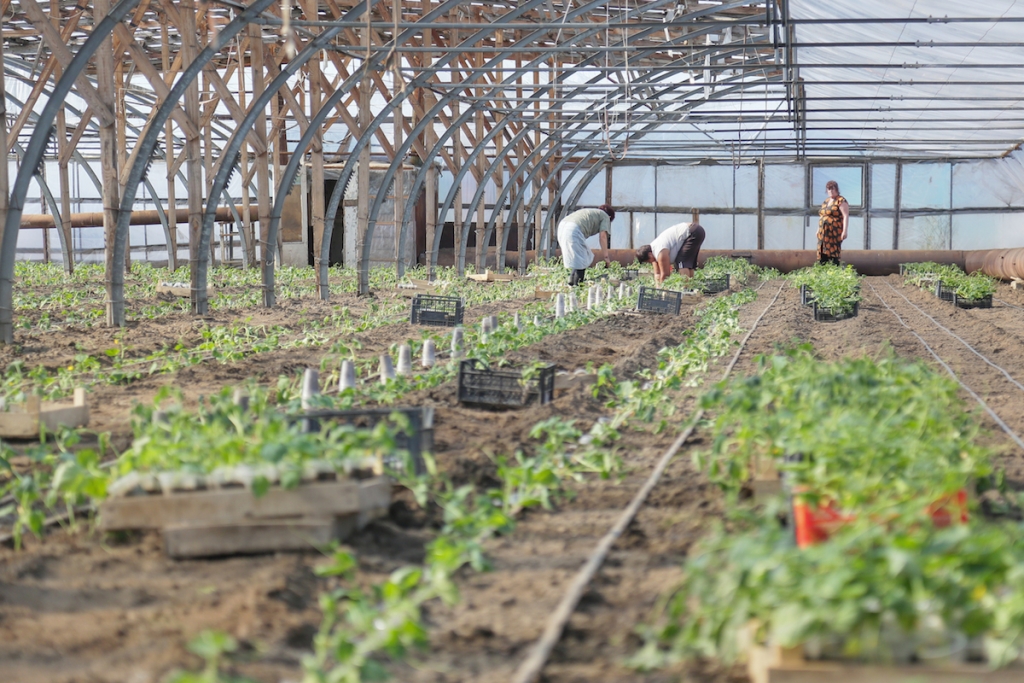 Астраханские фермеры начали посев