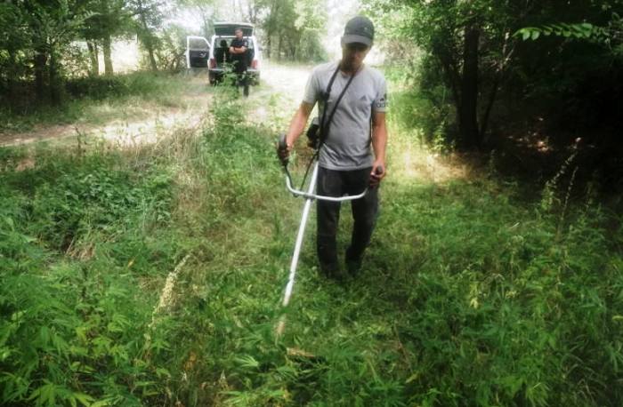 В Астраханской области развернута операция «Мак-2025»