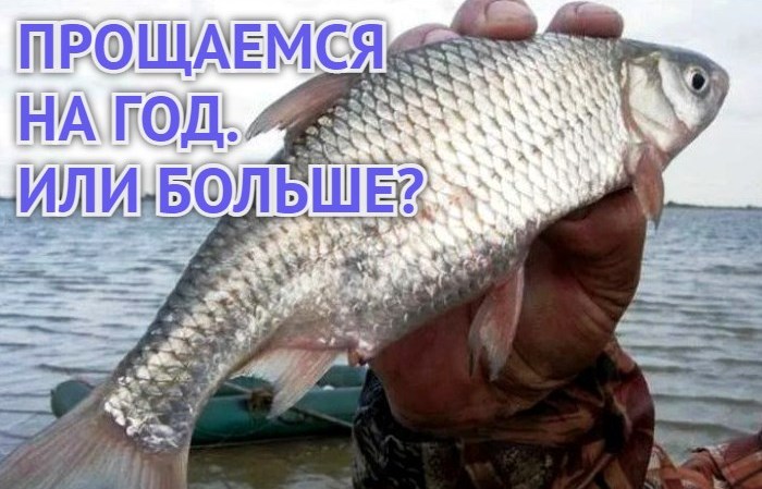 Отвоблились: вступил в силу приказ Минсельхоза РФ о запрете на год ловли воблы в Астраханской области