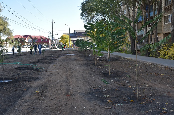 В Кировском районе появилась новая аллея