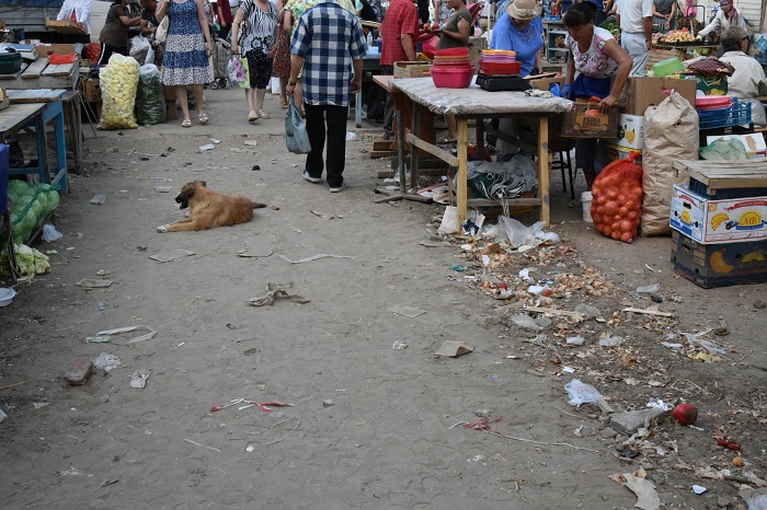 Администрация города вновь очистила Большие Исады