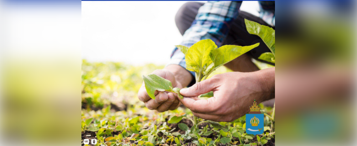 Астраханцам предлагают стать агрономами за 120 тысяч рублей