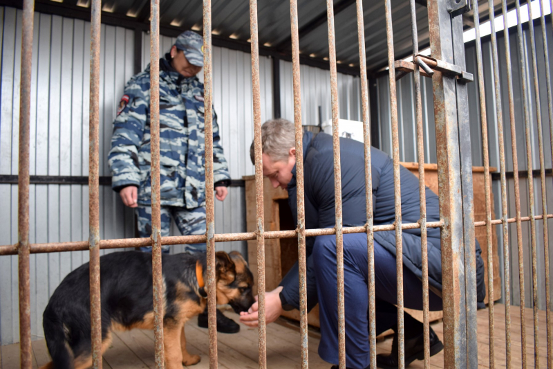 Врио губернатора Астраханской области покормил с рук щенка