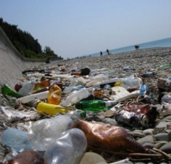 Астраханцы собрали с речных берегов почти 103 тонны мусора