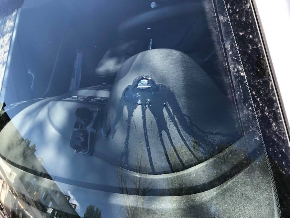 Фото дня: Солнышко, солнышко жгучее