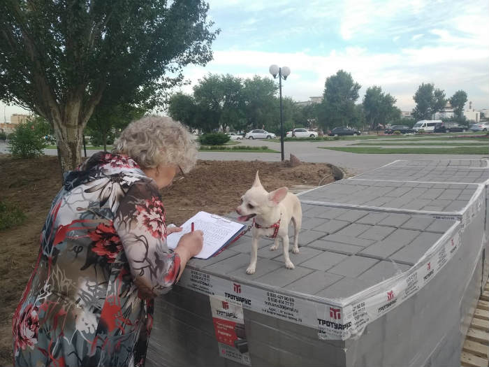 Астраханцы создали петицию против массовой вырубки тополей на Лебедином озере